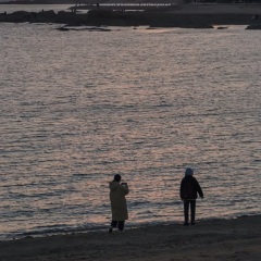 干了这一杯封面